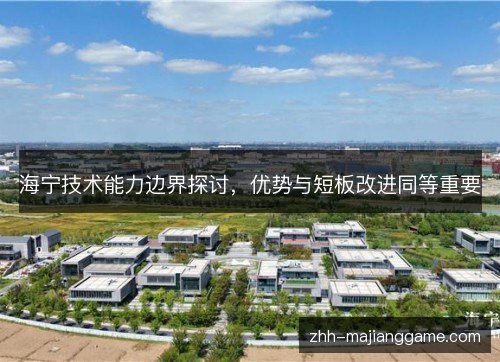 海宁技术能力边界探讨,优势与短板改进同等重要 海宁技术能力边界探讨,优势与短板改进同等重要